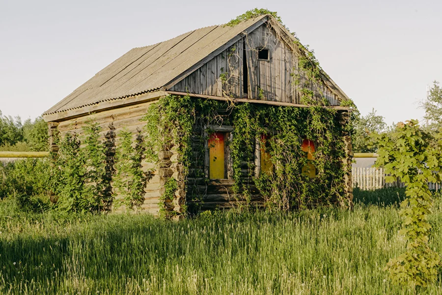 Арт-резиденция Менчаково-3