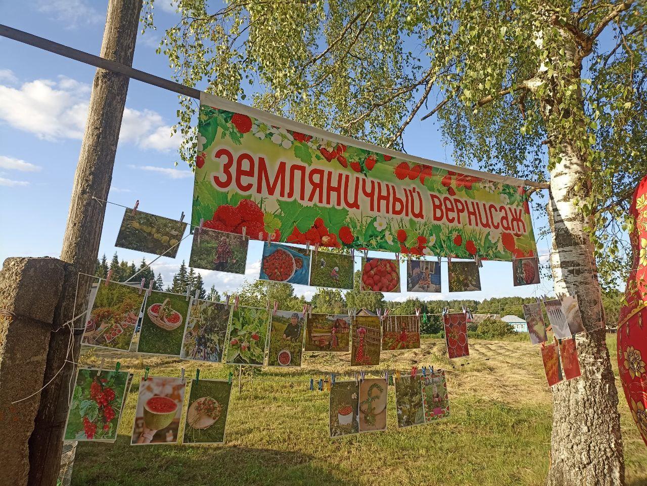 Районный праздник «Земляника»