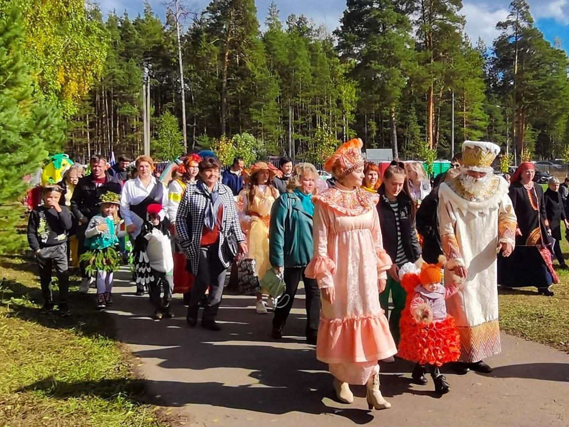 День леса