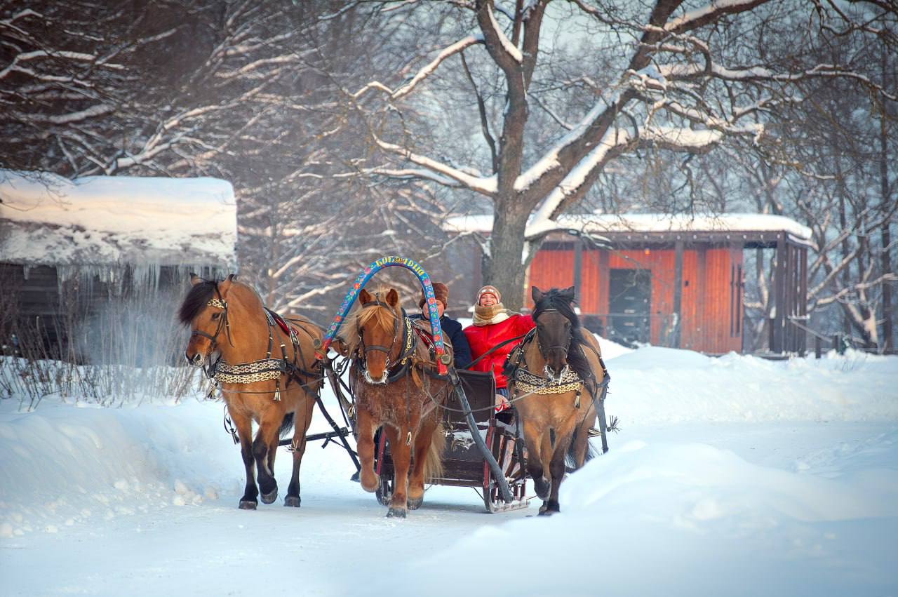 День Красного Коня в усадьбе Кописки «Богдарня»