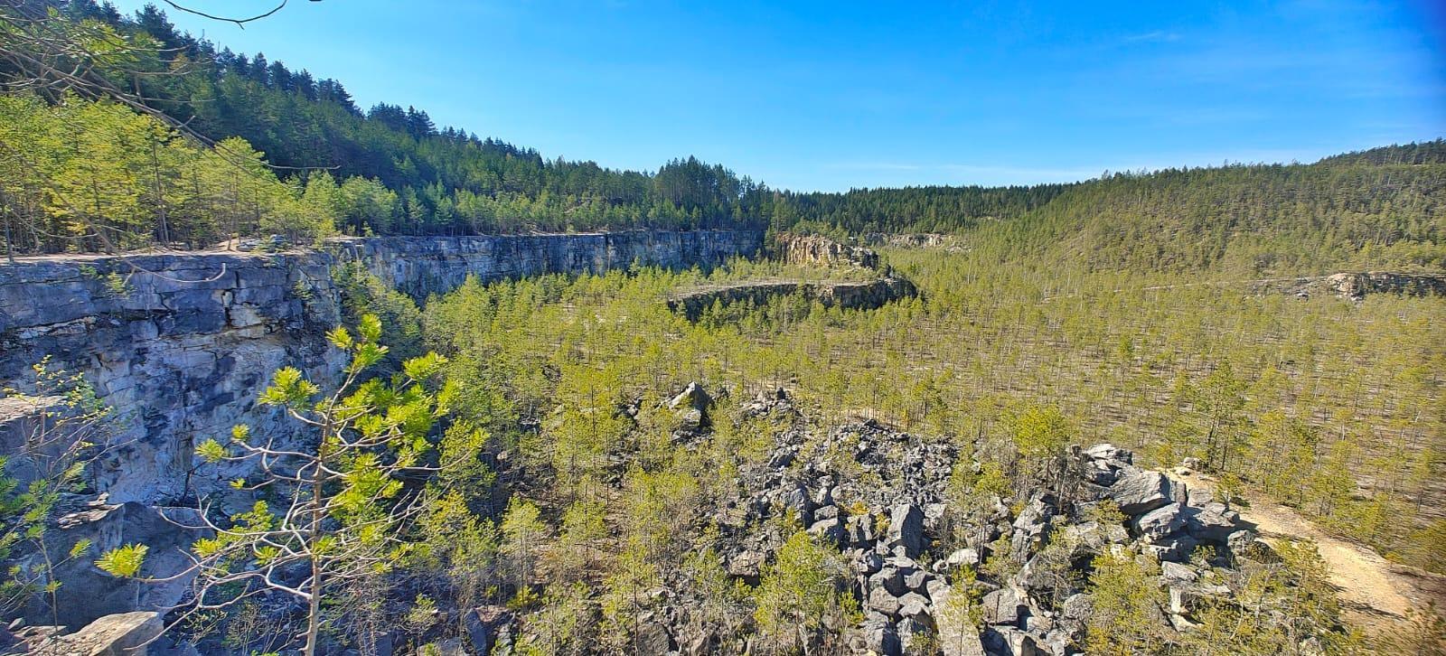 24 марта эксперты расскажут о заказнике Дюкинский в прямом эфире