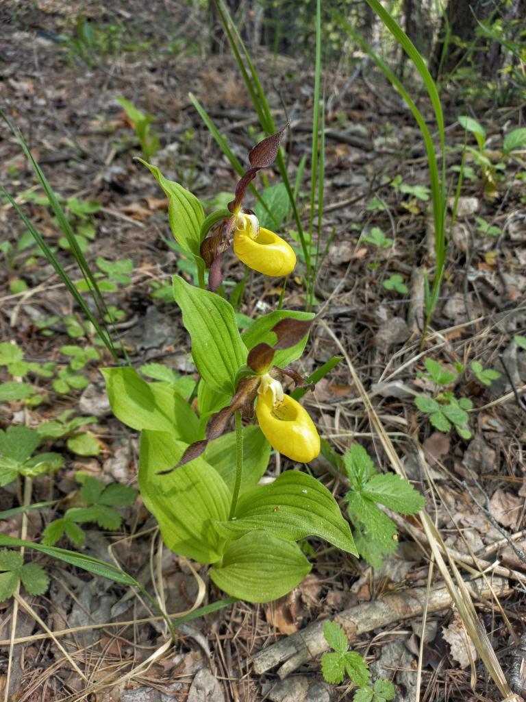 1000026522-01.jpeg 1000026522-01.jpeg