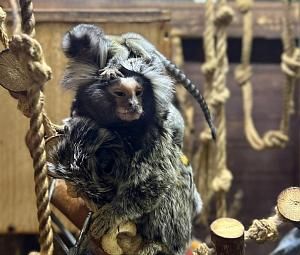 Экскурсия по владимирскому экзотариуму