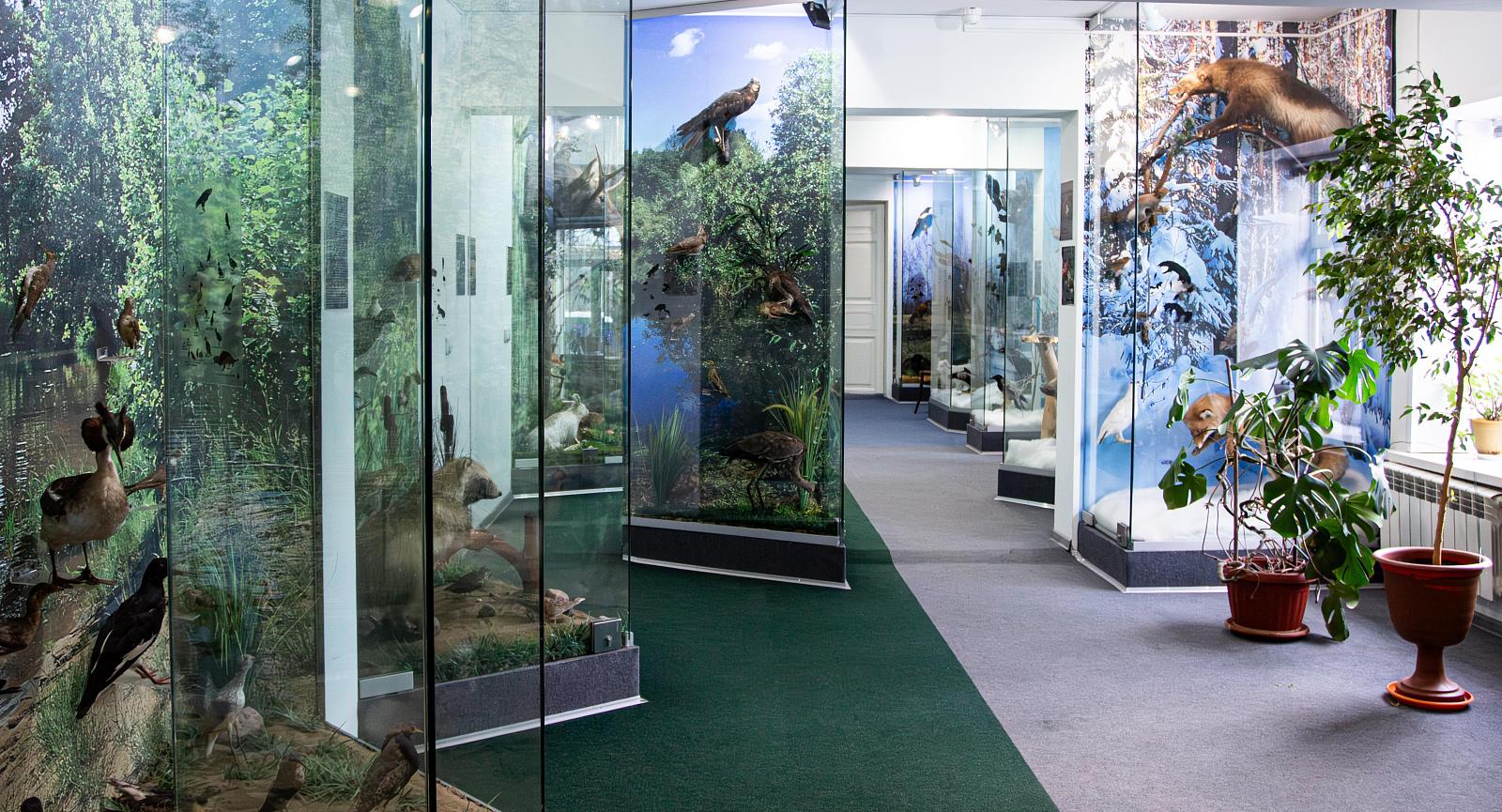 Музей природы и этнографии-0