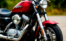 XVIII Ежегодный Международный блюз-байк фестиваль