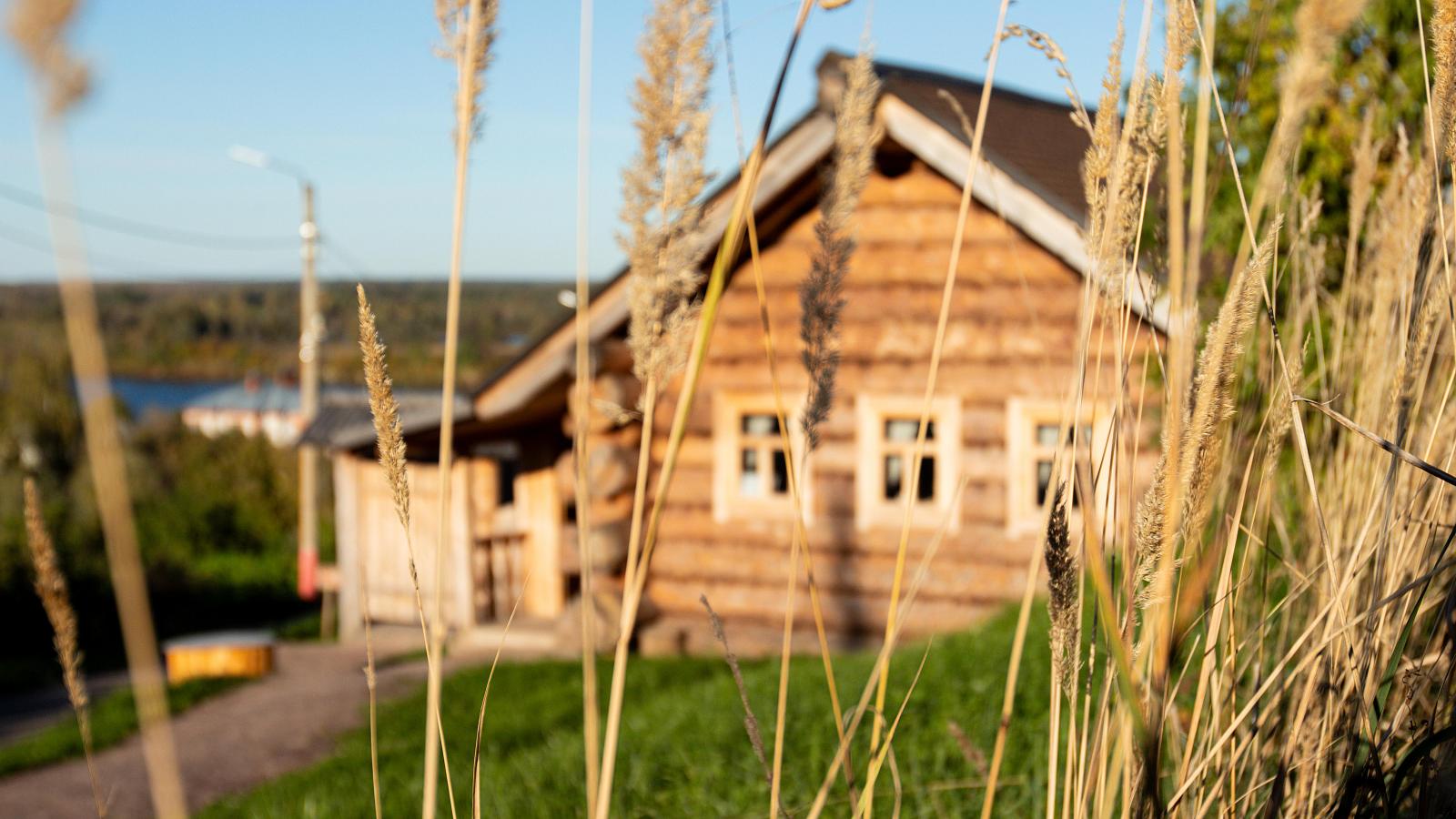 Изба Ильи Муромца-1