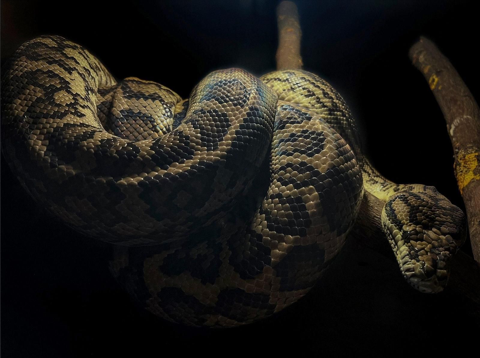 Владимирский экзотариум-3