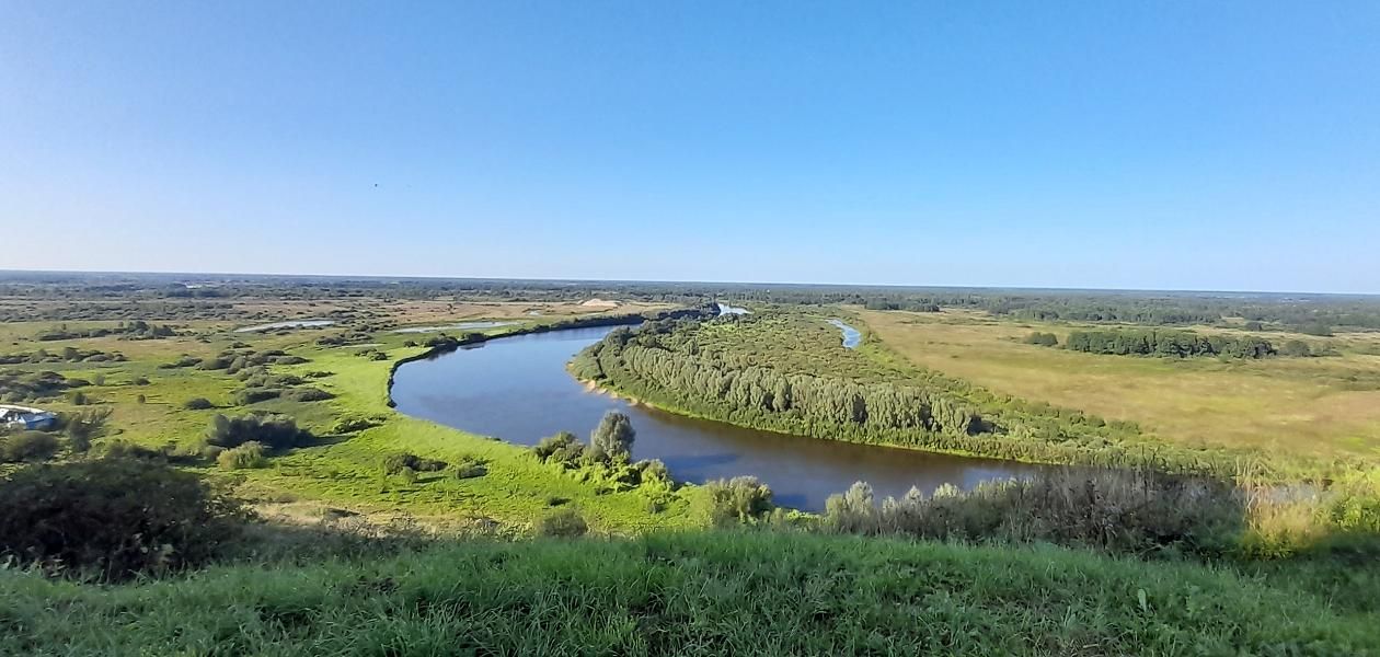 Вязники