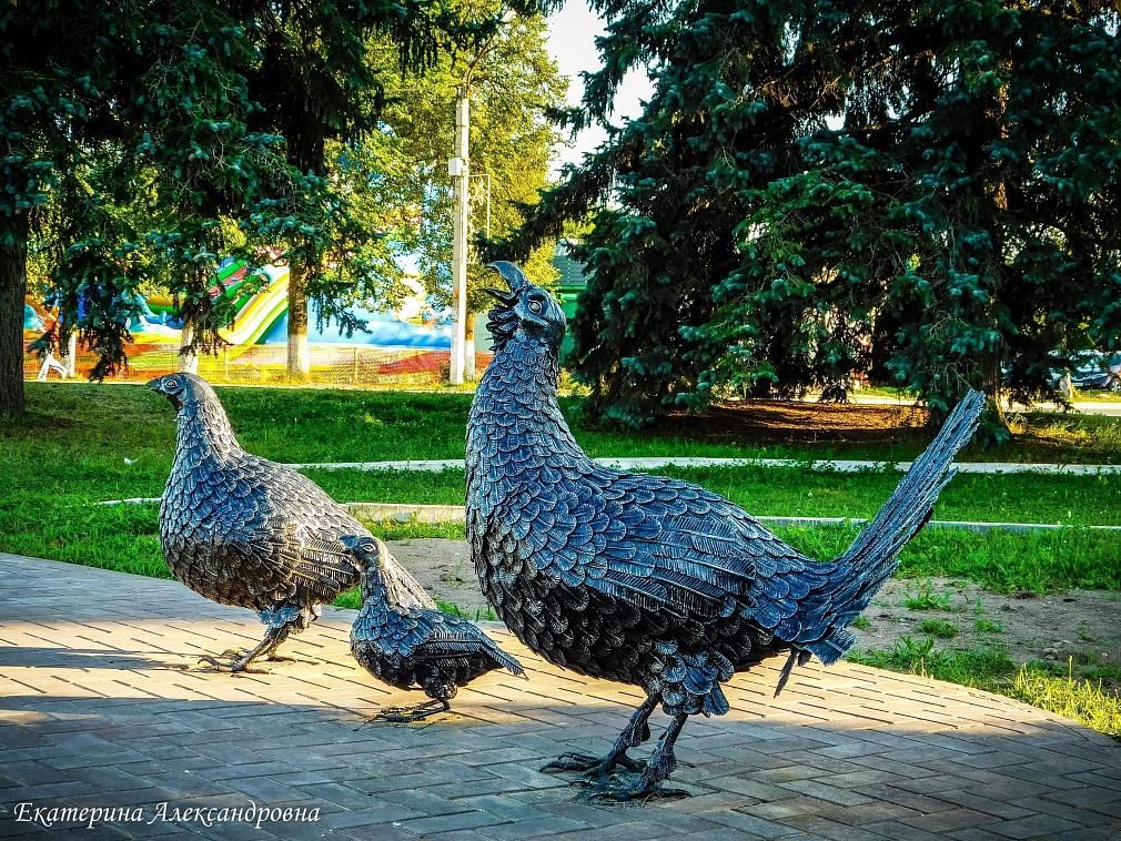 Семья глухарей