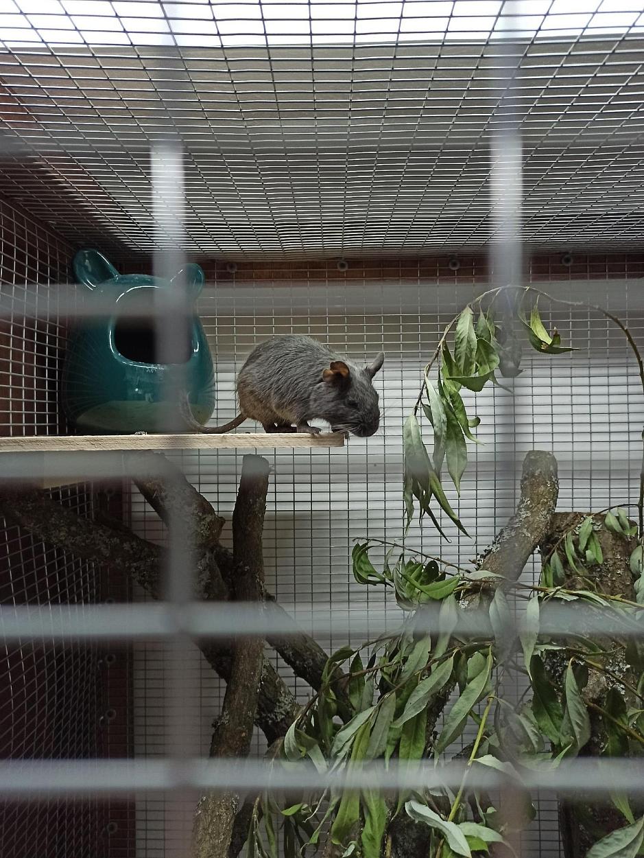 Экскурсия по владимирскому экзотариуму-3