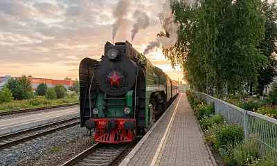 Ретропоезд в Гусь-Хрустальный за диковинным цветком 