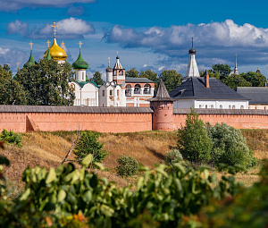 Спасо-Евфимиев монастырь-0