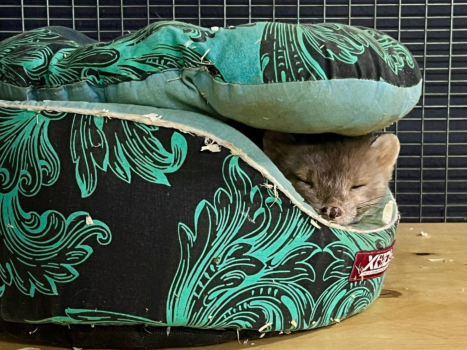 Экскурсия по владимирскому экзотариуму-4