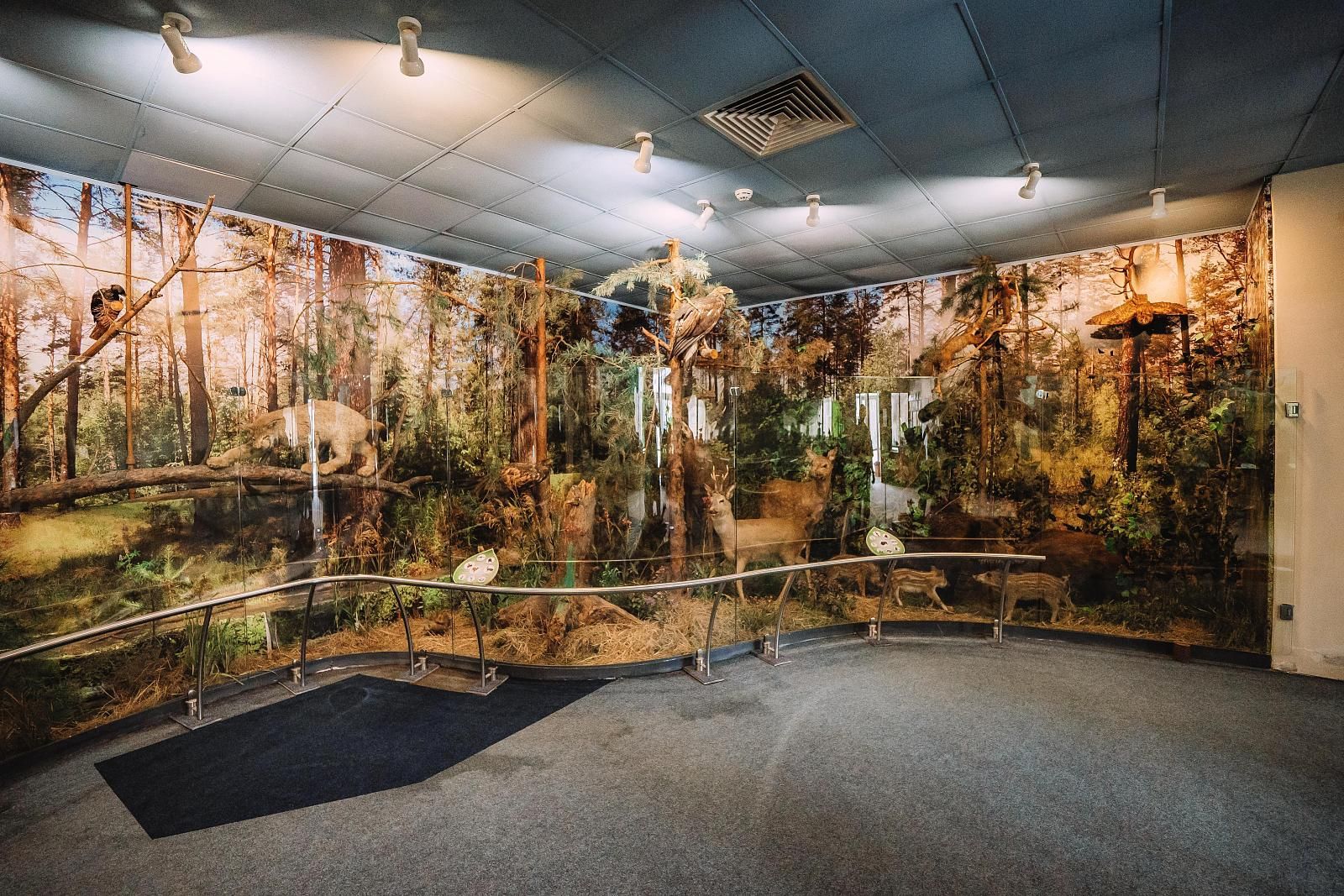 Музей природы-1