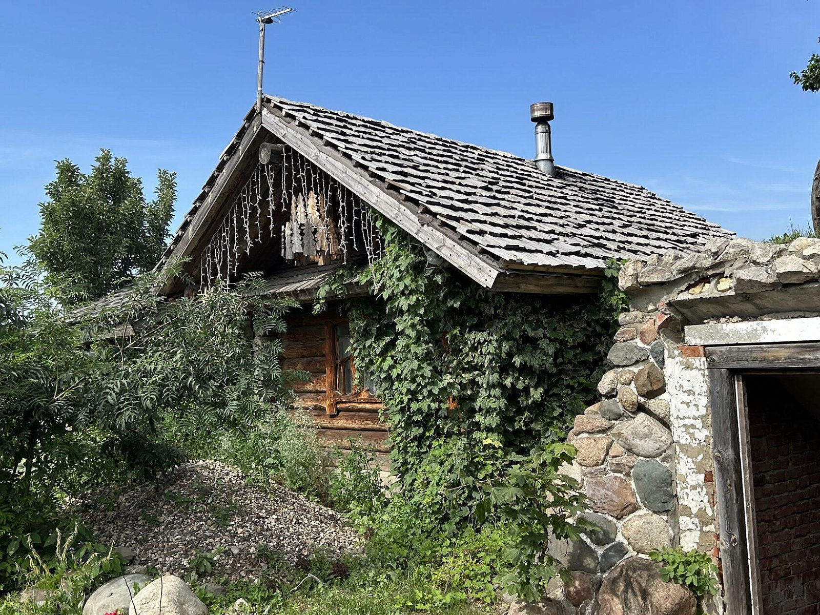 Коллекции Семьи Жаровых-4