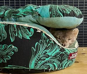 Владимирский экзотариум-1