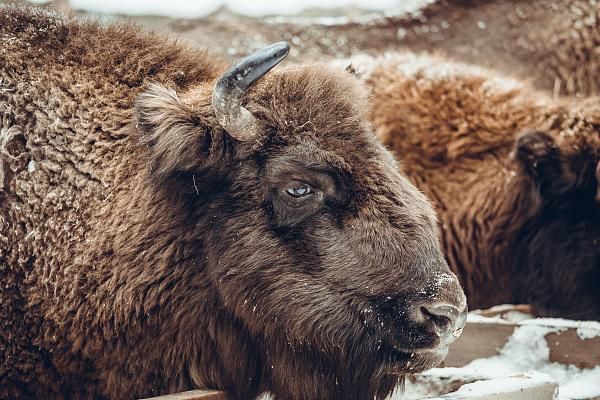 Клязьминско-Лухский заказник