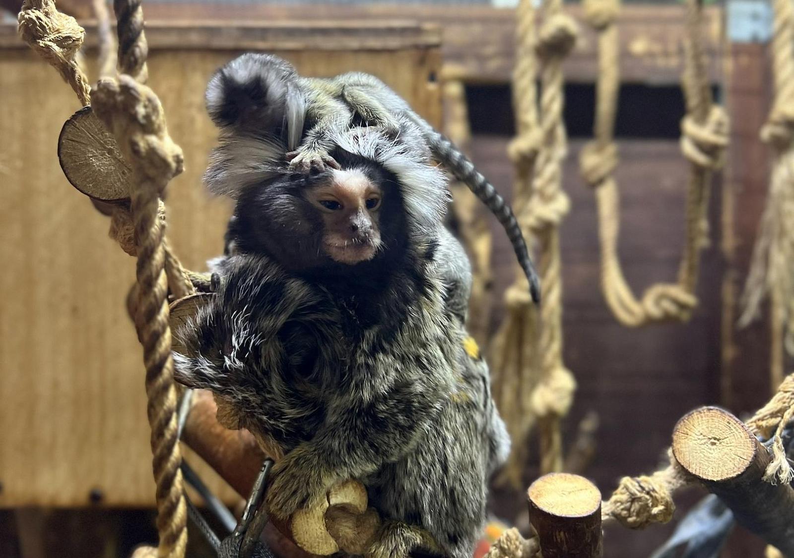 Экскурсия по владимирскому экзотариуму-0