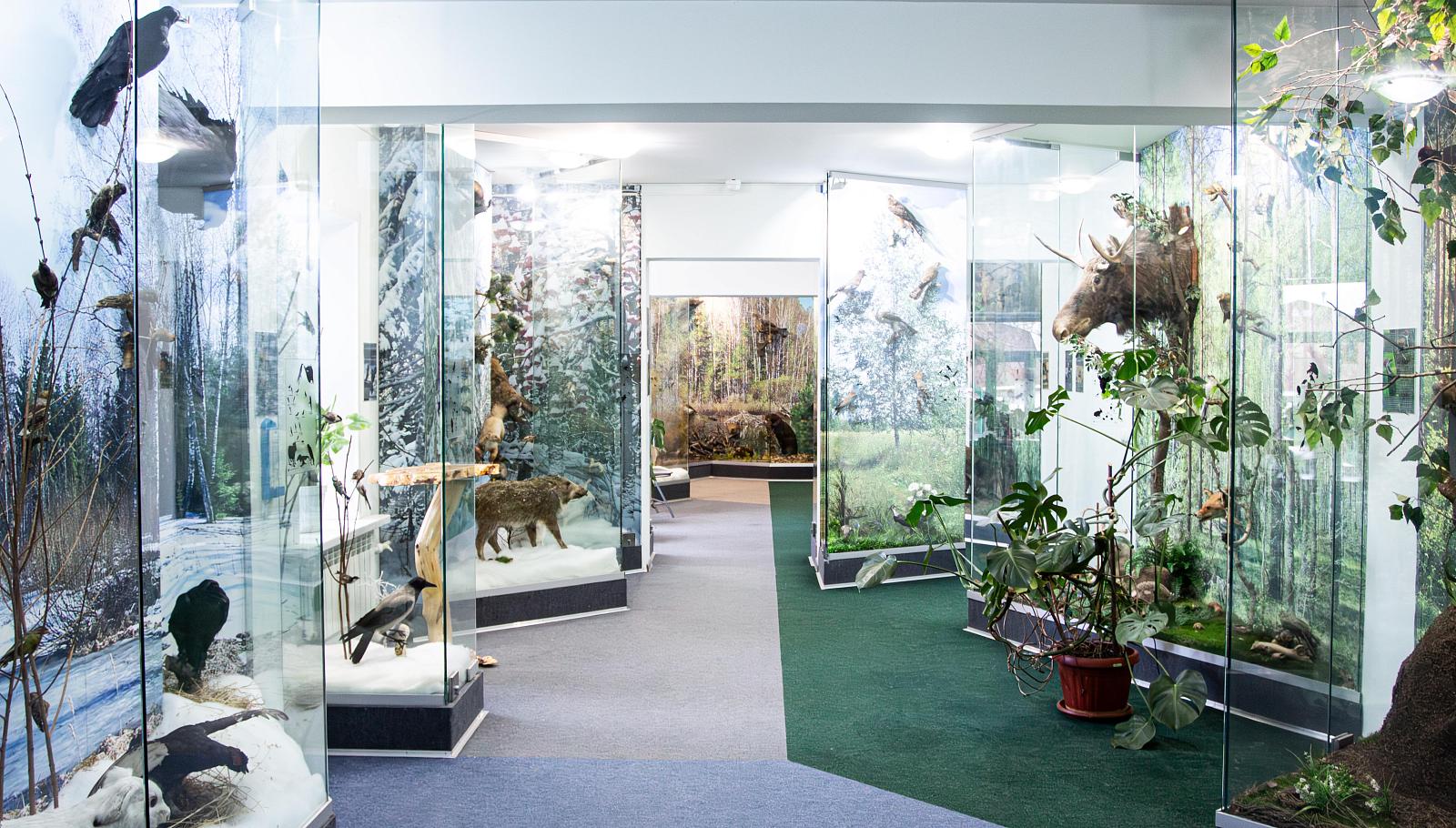 Музей природы и этнографии-3