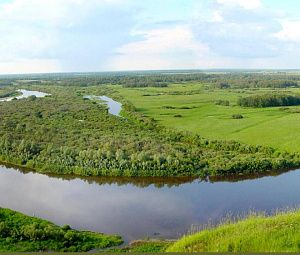 «Тропа здоровья» по городу Вязники