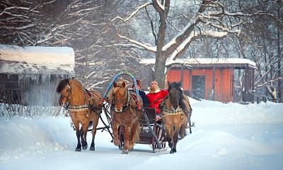 День Красного Коня в усадьбе Кописки «Богдарня»