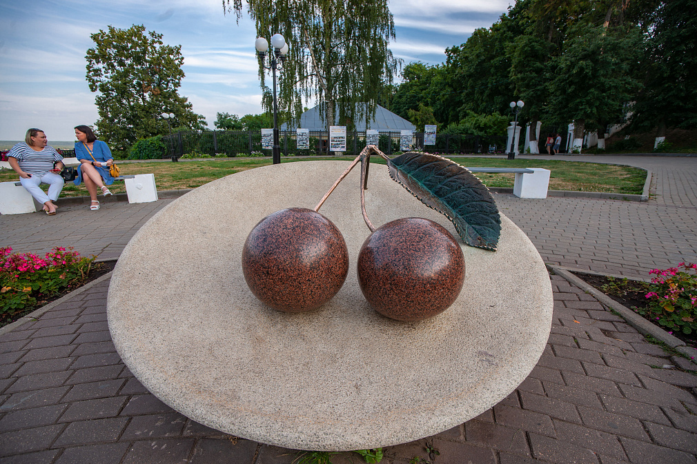 Памятник владимирской вишне