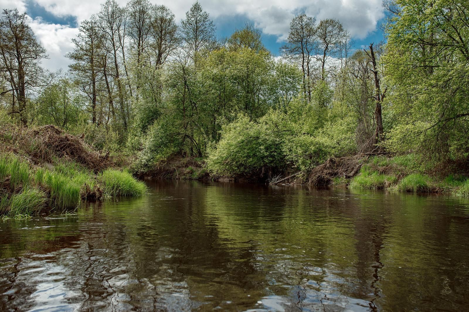 Романтический сплав