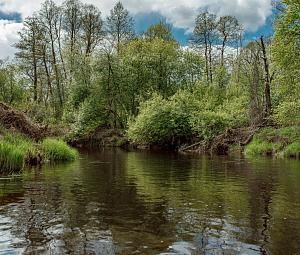 Романтический сплав