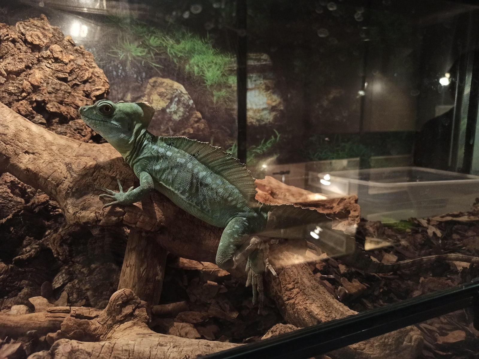 Экскурсия по владимирскому экзотариуму-2