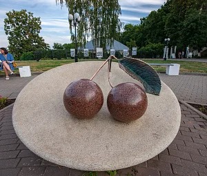 Памятник владимирской вишне