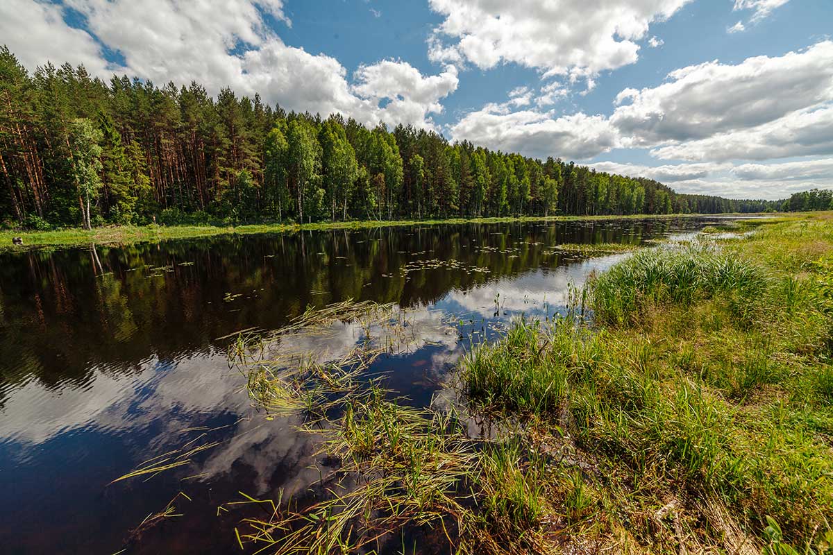 Экскурсия по охотничьему хозяйству «Павловское»-0